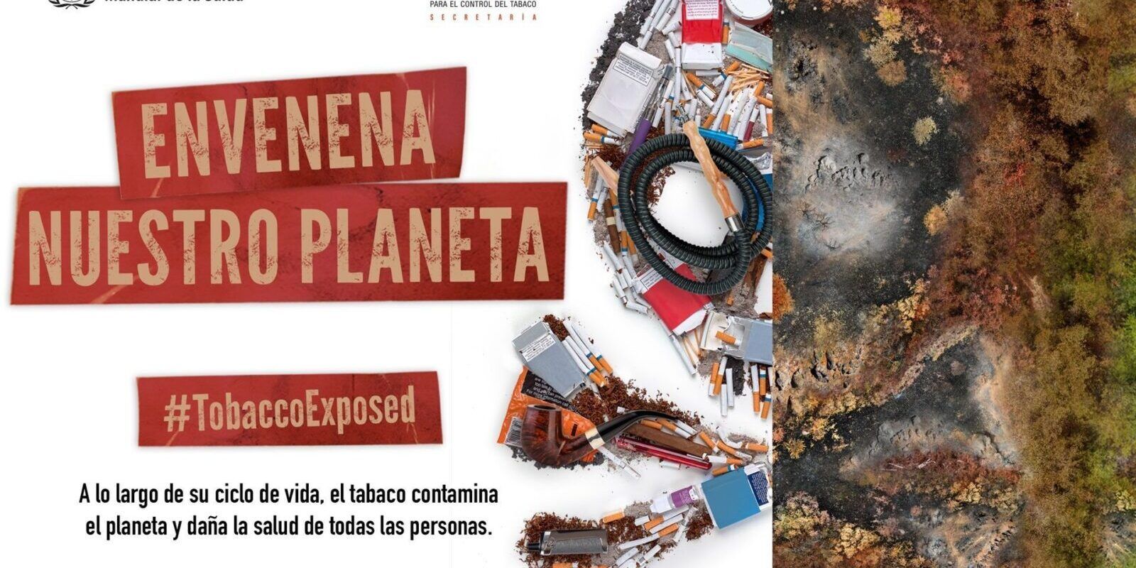 Día Mundial sin Tabaco 2022