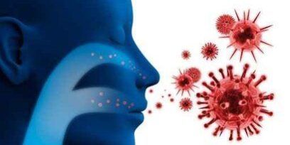 virus respiratorio sincitial (VRS)