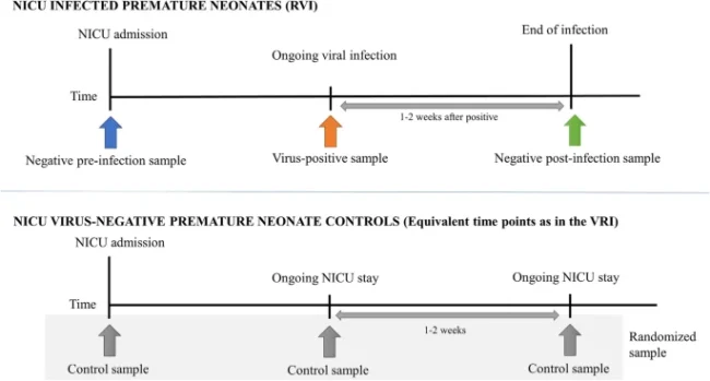 Filaggrin and cytokines in respiratory samples of preterm infants at risk for respiratory viral infection