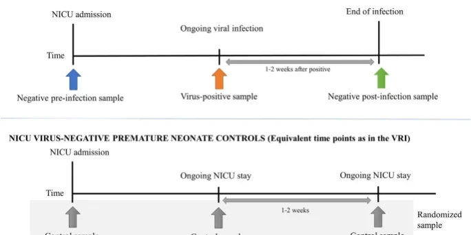 Filaggrin and cytokines in respiratory samples of preterm infants at risk for respiratory viral infection