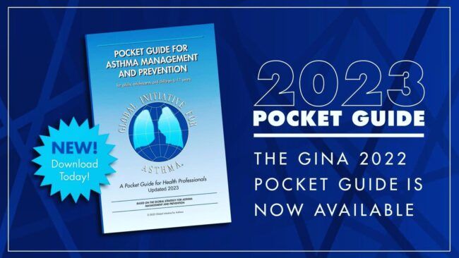 ¡La Guía de Bolsillo 2023 de GINA ya está aquí!