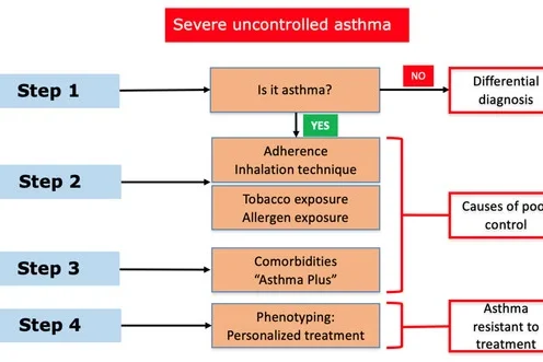 Severe Asthma and Biological Therapies: Now and the Future