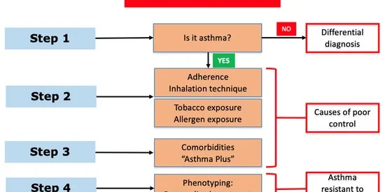 Severe Asthma and Biological Therapies: Now and the Future
