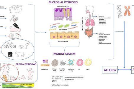 Microbiome and Asthma: Microbial Dysbiosis and the Origins, Phenotypes, Persistence, and Severity of Asthma