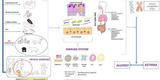 Microbiome and Asthma: Microbial Dysbiosis and the Origins, Phenotypes, Persistence, and Severity of Asthma