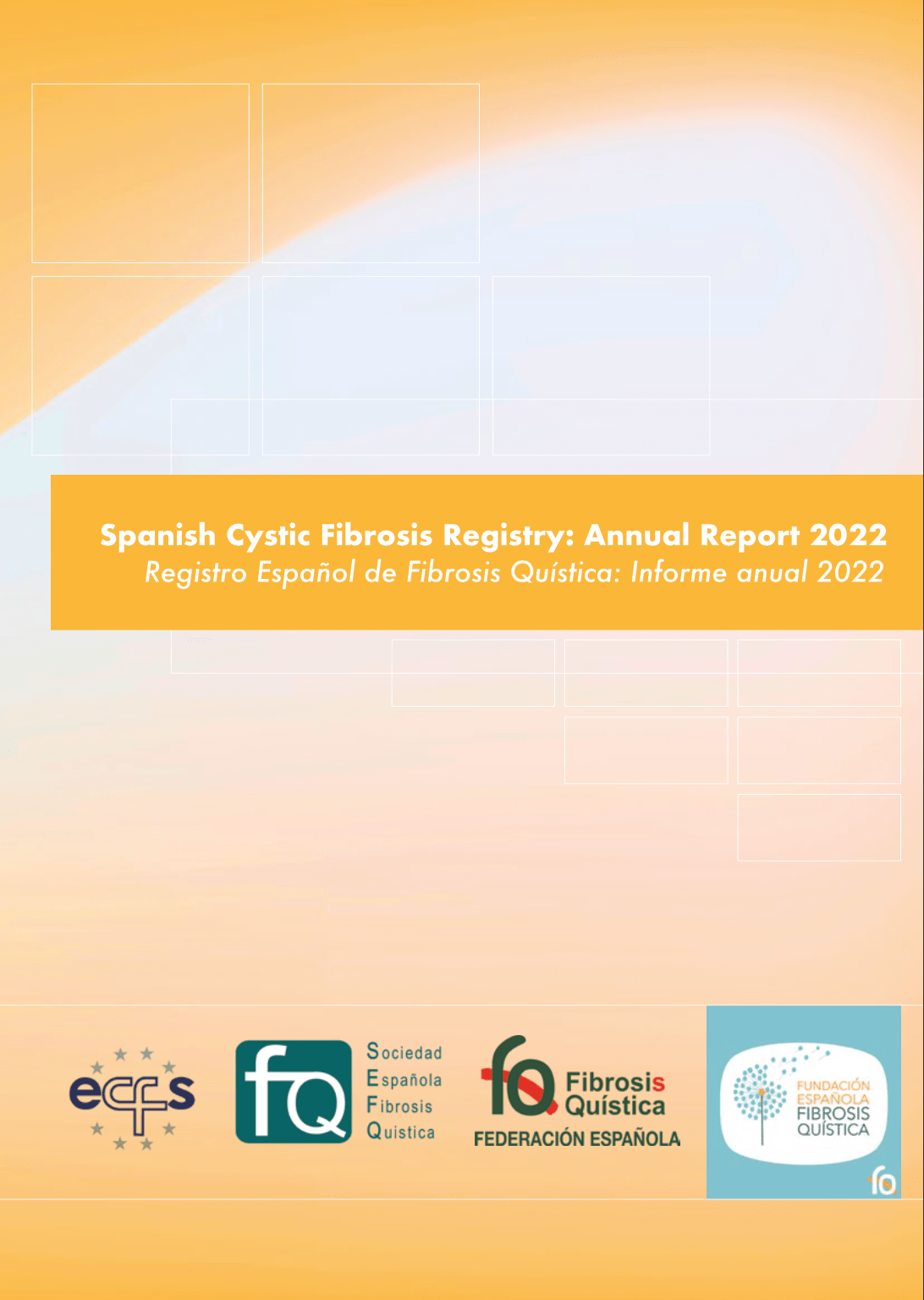 Report FQ 2022