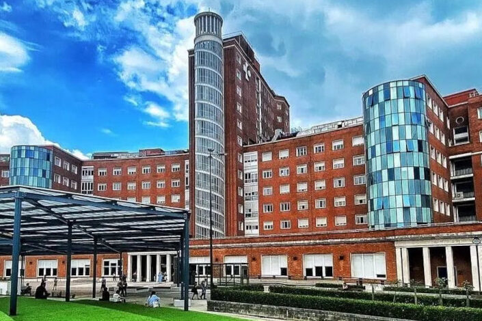 Hospital Universitario Cruces - Bilbao